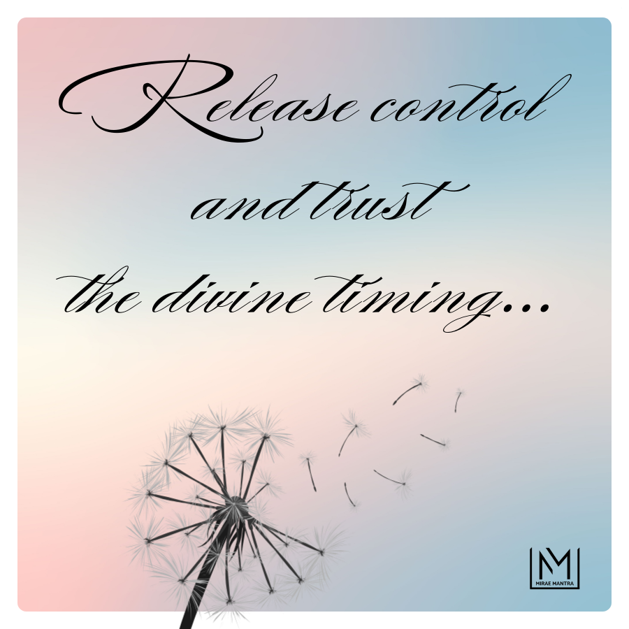 Dandelion with inspirational quote that says "Release control and trust the divine timing" on a gradient background. Mirae Mantra mirror affirmation sticker